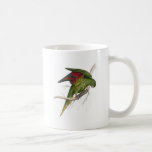 Le Parrakeet de Maton par Edward Lear Tasse À Café
