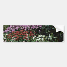 Le Phlox, monarda, canna, géranium fleurit Adhésif Pour Voiture