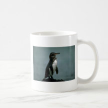 Le pingouin de Galapagos sur la roche de lave Mugs À Café