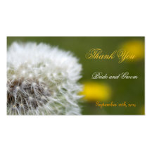 le pissenlit de fleur sauvage sème l'étiquette de  modèle de carte de visite