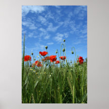 Le pré poster
