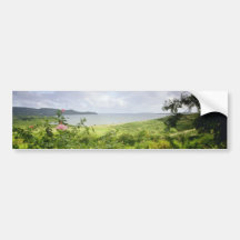Le Robert, Martinique flowers Bumper Stickers
