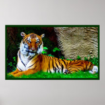 Le Roi Poster FROM 8,99 de tigre