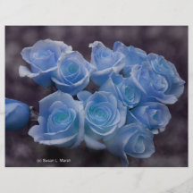 Le rose de bleu colorized l'arrière - plan repéré  tract customisé