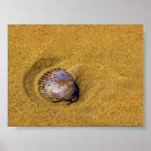 Le sable est ma maison affiches