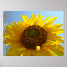Le TOURNESOL Sun fleurit l'art d'affiches d'impres