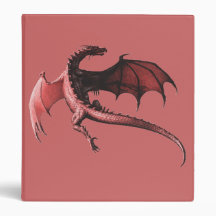 Le vol du dragon - binders