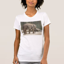 Le zoo t-shirt