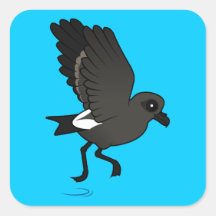 Leach's Storm Petrel (flutter) Sticker
