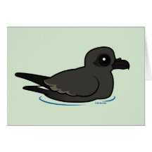 Leach's Storm Petrel (swim) Cards