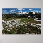 Lead King Basin Posters