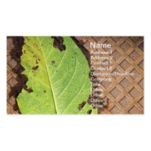 Leaf and iron business card