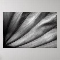 Leaf Artery Print