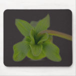 Leaf Blossom Mousepad