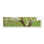 Leaf Burst Bumper Sticker