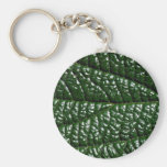 Leaf, close-up keychain