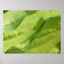 Leaf fold posters