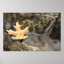 Leaf In The Water Poster