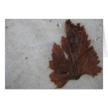 Leaf - Istanbul Greeting Card