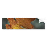 Leaf Leaves Bumper Sticker