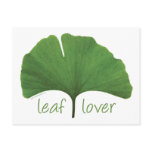 Leaf Lover Tree Hugger Post Card