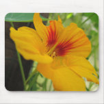 Leaf me alone! mouse mat