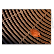 Leaf Minimalist Greeting Cards