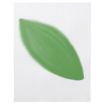 Leaf Motive 1 Flyer