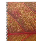Leaf Notebook