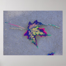 leaf posters