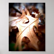Leaf... Posters