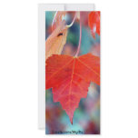 Leaf rack cards