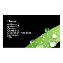 Leaf Rain Drops Business Card