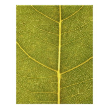 leaf texture custom letterhead