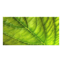 leaf texture photo card template