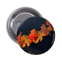 Leafs On A Twig Pinback Buttons