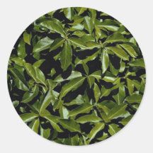Leafy garden round stickers