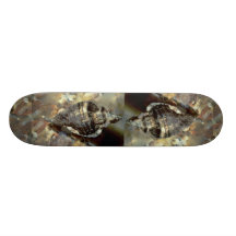 Leafy hornmouth (Ceretostoma foliatum) Shell Skateboard Decks