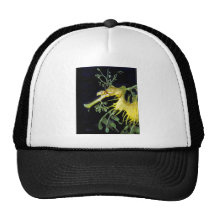 Leafy Sea Dragon Hat