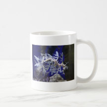 Leafy Sea Dragon Mugs