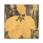 leafy trunk magnets