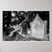 Leaning Branch Poster