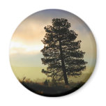 LEANING TREE AT DAWN magnets