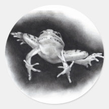 LEAPING FROG: PENCIL REALISM ROUND STICKER
