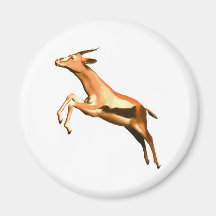 Leaping Gazelle Magnet