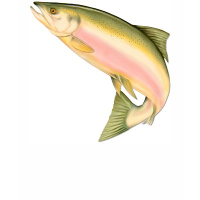 Leaping Salmon T Shirt by Spice