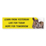 Learn Bumper Sticker