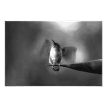 Learning to fly photograph