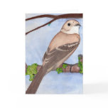 Least Flycatcher Note Card