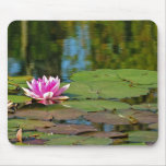 L'eau rose Lilly Tapis De Souris